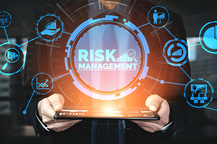 Risk Management and Project Controls
